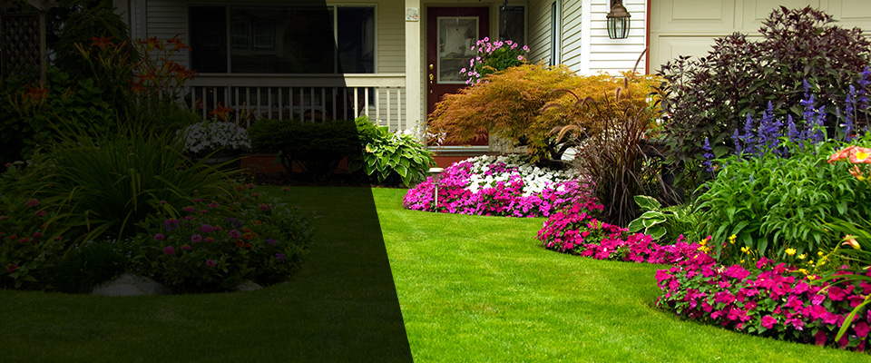 Mc Rae Landscapers