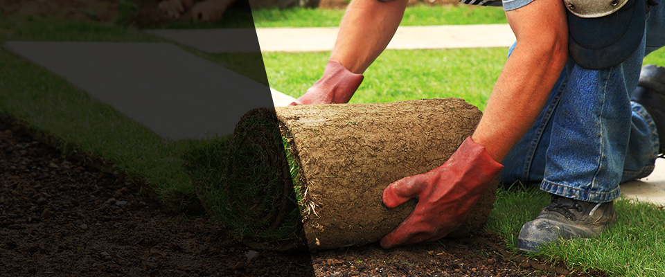 Mc Rae Landscapers